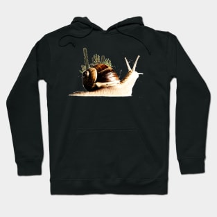 cactus on a snail Hoodie